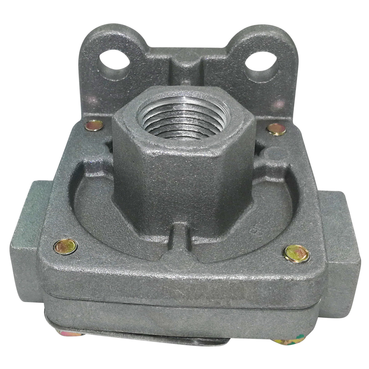 「SALE』P. Willinckii Spur(TC) 【3-3】 PLENTZOM Output Axle Seal GT41857 21549029 587086401