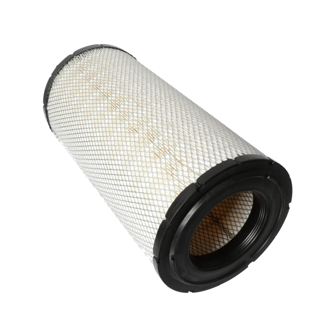 Air Filter Replaces P532966, AF25667, 46744, CA8193, RS3517, AF25223 ...